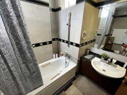 Harvest Mansions (D3), Apartment #541095111